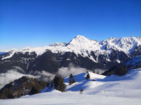 Le beau manteau blanc